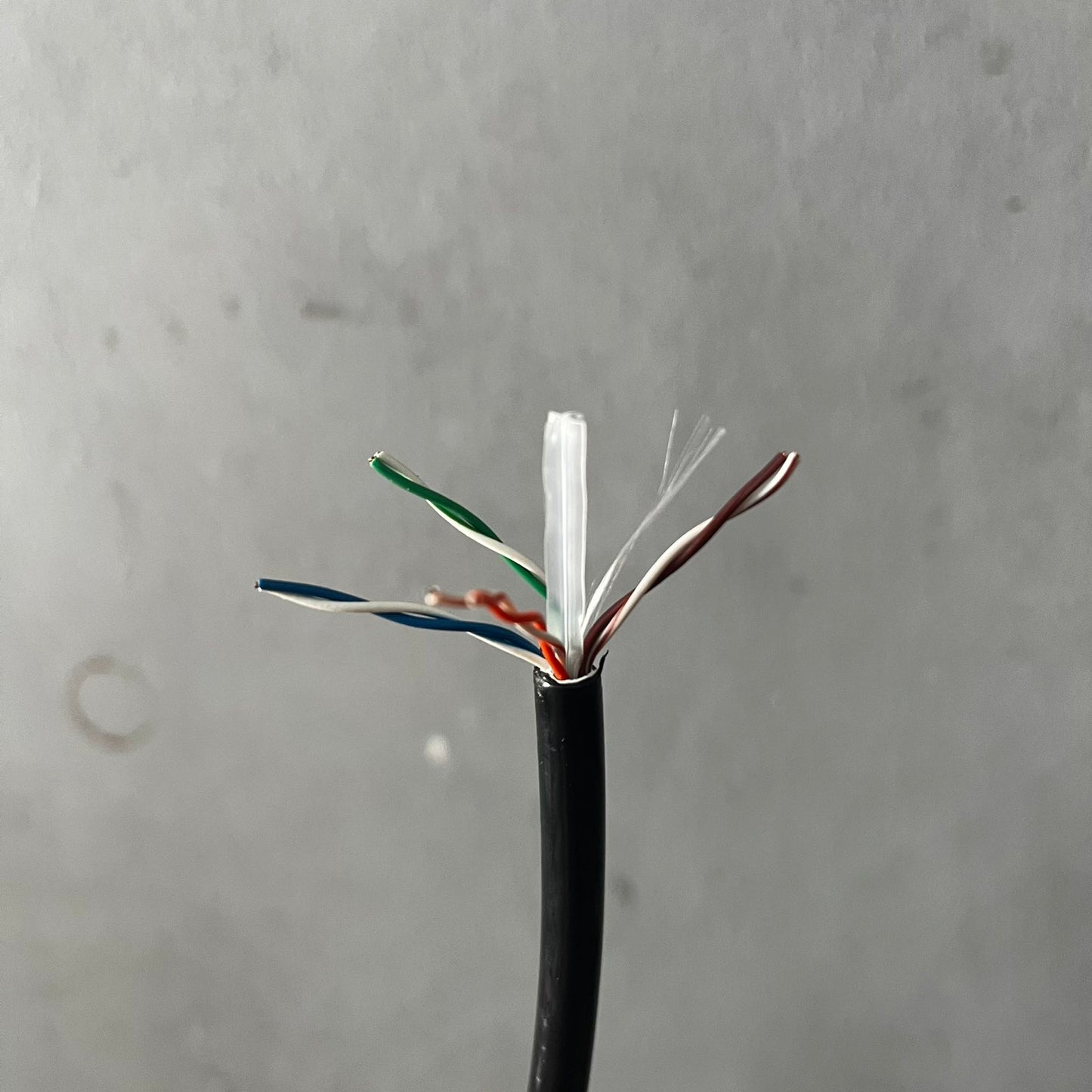 NETLAB CAT6 CCA 305m